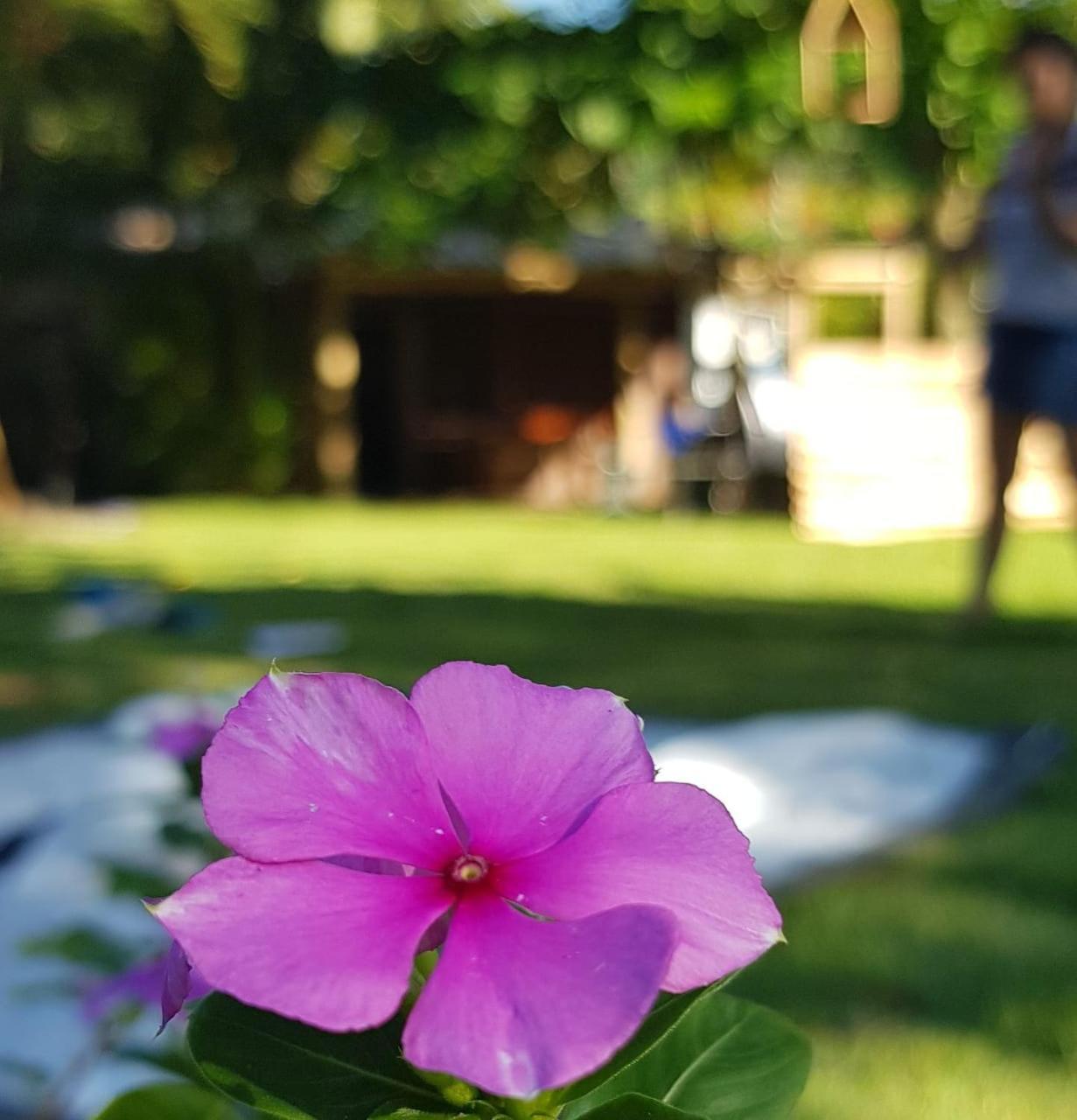 Ilhabela Camping Eksteriør billede